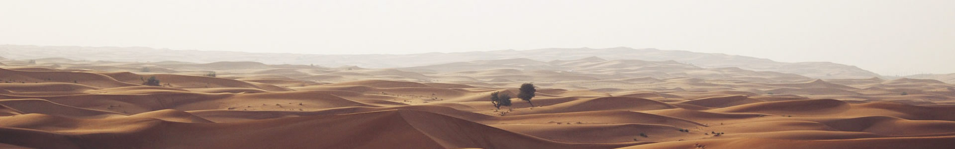 人ܼ⼼޹˾